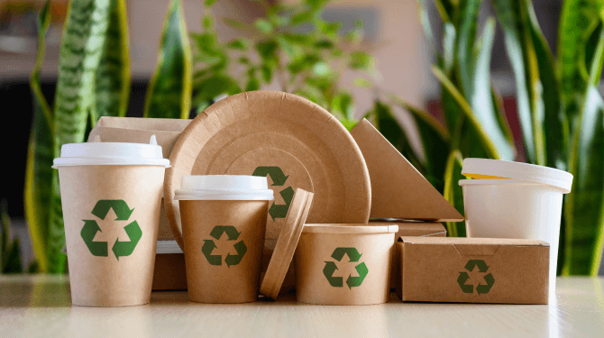 biodegradable food containers to reduce environmental impact